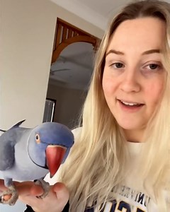 1M views · 30K reactions | This girl's talking parrot is so supportive 列 | LADbible | Facebook