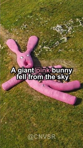 The Giant Pink Bunny of Italy: A 20-Year Decay #GiantPinkBunny #CollettoFava #amazingcircus #jax