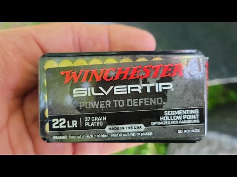 Winchester Silvertip 22lr Ammo Review: Ballistic Gel, Chrono, and Groups