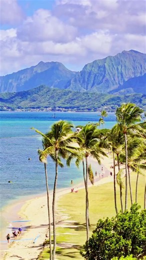 Crystal clear waters and endless island adventures on Oahu's beaches 🌊🌞🌴 https://bit.ly/polyad2025 Follow Aloha Stoked Follow Hawaiian Islands Follow Experience Hawaii Media 🎥@johnehawaii #Aloha #ParadiseFound #OceanDreams #ExploreOahu #TropicalEscape #Oahu #Beach | Hawaiian Islands