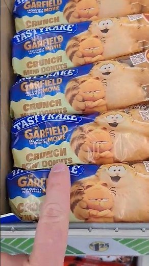 The Garfield Movie New Tastykake Mini Donuts at Dollar Tree