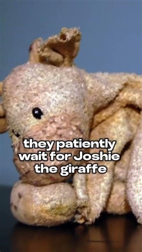 A Nice Story on Customer Experience