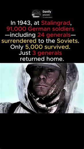 From 91,000 POWs to Just 5,000 Survivors — Stalingrad #history #ww2