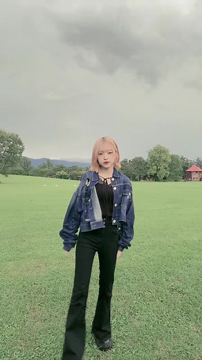 岩手県探訪 Vlog：魅力を再発見！