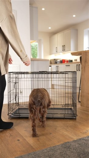 Check out our exclusive sliding door dog crate – fitted with a unique space saving door that slides neatly into the roof of the crate. Other features include 👇 🐾 Regular swing door on one end of the crate for versatility. 🐾 Thicker wire for a sturdy finish. 🐾 Removable tray. 🐾 Folds flat for convenient storage. 🐾 Carry handle for easy transport. 🐾 Rubber feet to protect your floor and prevent the crate sliding. Available in Small to XX Large. With 20% off until 24th December, prices start