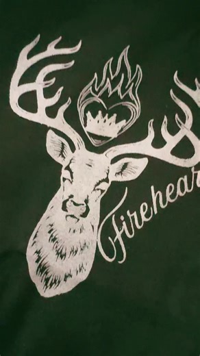 I’m in love with this Fireheart shirt from TikTok shop! @SCARRATT EDES #fireheart #aelingalathynius #booktok #throneofglass