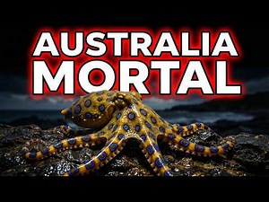 Top 10 Deadliest and Most Dangerous Animals in Australia 4K