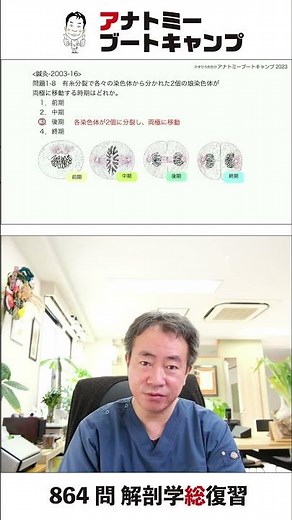 【 #国試1分道場 ・人体の構成】有糸分裂で各々の染色体から分かれた2個の娘染色体が両極に移動する時期はどれか。 １．前期 ２．中期 ３．後期 ４． #かずひろ先生 #解剖学