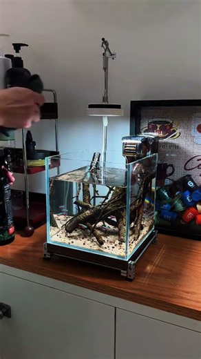 Amazing way to clean aqua tank #aquarium #aquascape