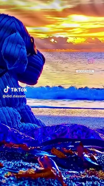 ✨Effect Vidéo Did Dasson.