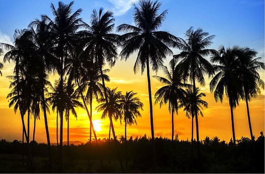 35 Inspirational Quotes On Selflessness