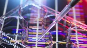 US-Amerikaner hat laut Gentest Neandertaler-DNA: Deutet auf „signifikante Kreuzung“ hin