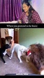 Ye kya laya malik ne? 😂 #dog #funnydogs #dogesh #dogmeme #funnyanimals #shorts