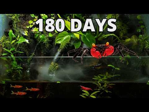 I Built a Rainforest Ecosystem. 180 Days Later THIS Happened!