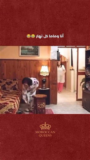 😂😂 | Moroccan Queens
