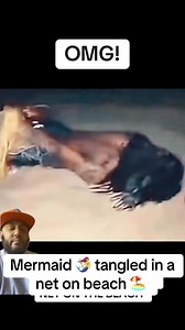 2.7K views · 7.1K reactions | Mermaid tangled in a net on beach #mermaid #Siren #fypシ゚viralシfypシ゚viralシalシfypシ゚viralシfypシ゚viralシalシ | French Dose | Facebook
