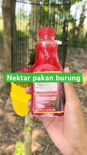 Super jumbo nectar #superjumbonectar