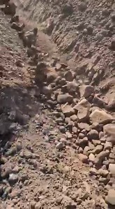 👏🏻👏🏻👏🏻 “The ScanStone 4 Webber is a very well-built machine which stands up to our extremely harsh conditions, allowing us to rent and work on more marginal ground. The back-up from the ScanStone team is phenomenal; even at 10pm at night, they are ready and willing to help. A local business with core values.” 🥔🥔🥔 | ScanStone