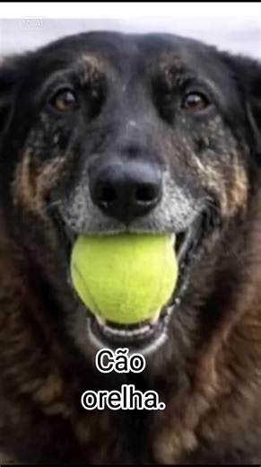 Estudantes do Colégio Catarinense e Justiça