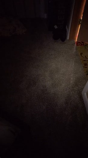 Reggie Watts on Instagram: "Re-Find"