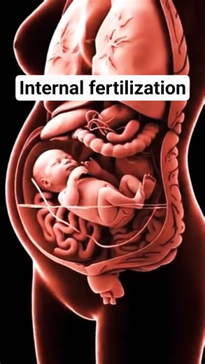 Internal Fertilization क्या होता है? | Easy Explanation | Class 8–10 Biology | Padhai.com #shorts
