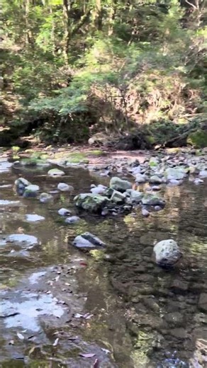 【滝めぐり】「猪八重渓谷」⑤五重の滝、滝壺にて。【2026/03/09】宮崎県日南市北郷町大字郷之原猪八重