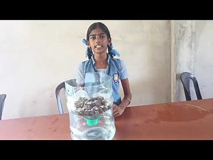 Pure Drop – Natural Water Purifier | Viksit Bharat Buildathon 2025