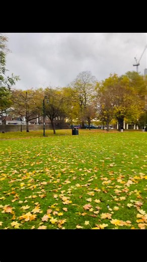 51 reactions · 3 comments | #jhorapata #tumsehidinhotahai #mapleleaf #walking | Farha Diba | Facebook