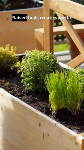The #1 Fertilizer Formula for Raised Beds | Fancy Chicken