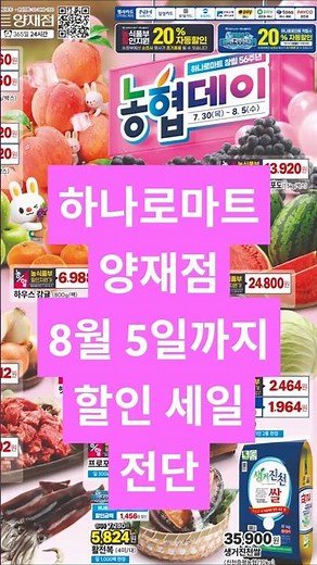 농협데이! 농협하나로마트 창립 56주년기념! 하나로마트 양재점 전단행사 #농협하나로마트 #하나로마트 #농협데이 #농협유통 #마트할인