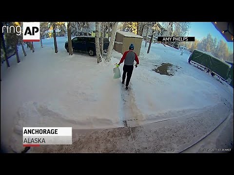 Moose traps Alaska man in shed