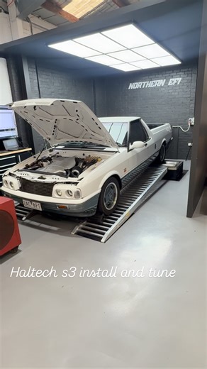 Marc Di Fabio on Instagram: "#haltech #haltechecu"