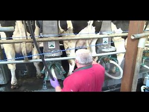 Teat Sanicleanse Teat Scrubber Product video - UK