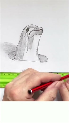 Porpoise 3d that looks alive #3dart #creative #fun #drawing #opticalillusion #brainteaser