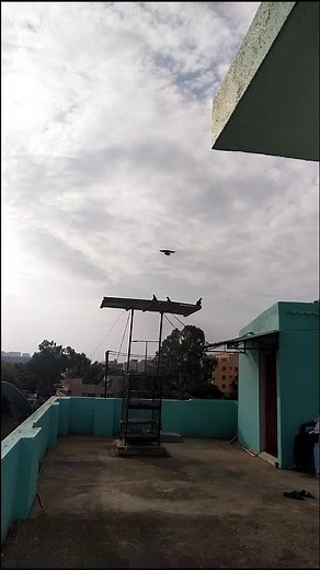 Ranjith Kshathriya's (@ranjithkshathriya)’s videos with original sound - gaja