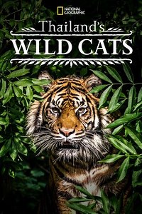 Thailand's Wild Cats - Movie