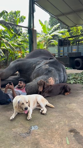 1.4M views · 230K reactions | Shimil Highrange Club on Reels | Facebook