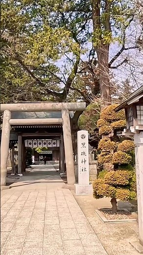 ご利益満点！黒磯神社で開運祈願 ⛩️祈 Lucky Charms and Divine Blessings. 地域を見守る産土神に触れる、那須スピリチュアル旅の始まり