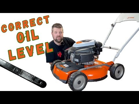 How To Check Your Lawn Mower OIL LEVEL In Under 1 Minute