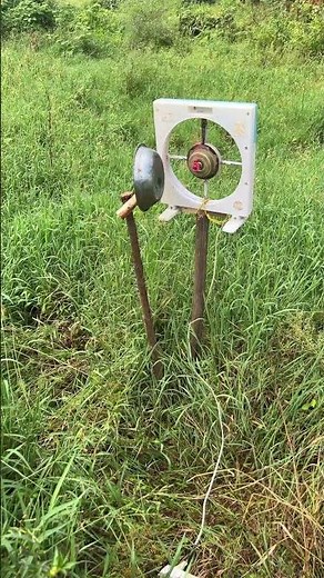 Showcasing a variety of creative bird-scaring devices to protec crops, environmentally effective.
