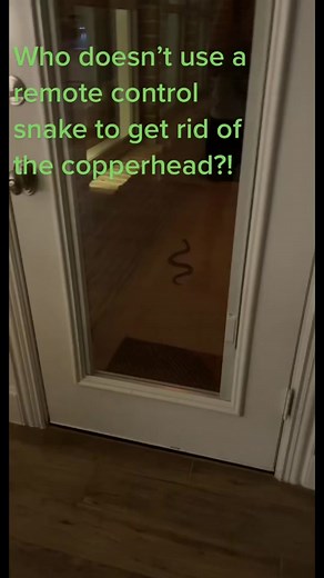 Remote Control Snake Scares Copperhead on Patio!