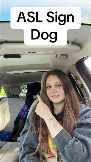 Learn How To Sign "Dog" in ASL for Beginners | American Sign Language #shorts