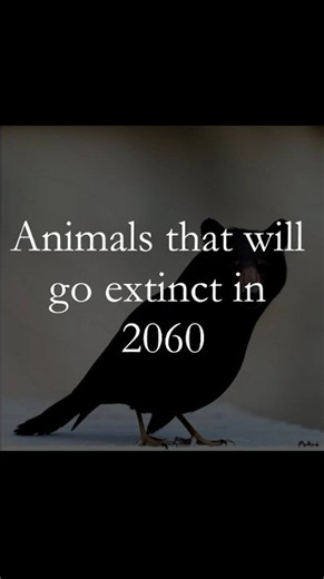 Animals that will be extinct