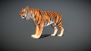 Tiger - 3D model by menglow