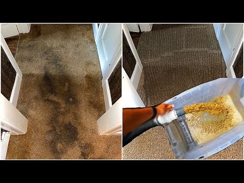 Deep cleaning HEAVILY SOILED carpet for a long time customer!