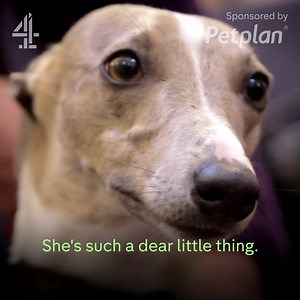 863K views · 15K reactions | 'I couldn't bear to lose her' | Channel 4 | Facebook