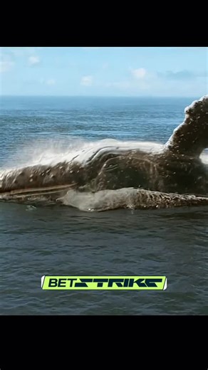 Movievibbes on Instagram: "9/11 2017 ‧ Action/Thriller ‧ 1h 30m Overview On 11 September 2001, Five New Yorkers from different walks of life get stuck in an elevator in the World Trade Centre as an airplane crashes into the building. Watch on - Imdb - Amazon Prime Video - Tubi (free with ads) - Hulu(free trial) - Apple TV - Tv guide - Just watch Follow us for exclusive movie clips, titles, and recommendations! @movievibbes You’re gonna love it! #film #movie #movieclips #viral ©️ All images are o