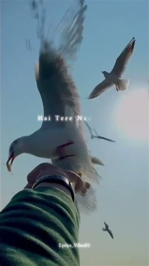 Sab se Upar Likha Hai tere naam ko| tum jo aaye| #lyrics #reels #calm #ytshorts #shortsfeed