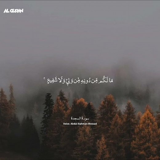 Subscribe to the channel | Surah Al-Sajdah | Most Beautiful | Al Quran Official #quran #islam