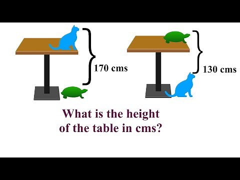 Find the Height of Table with Cat and Tortoise ?